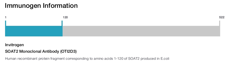 SOAT2 Monoclonal Antibody (OTI2D3)