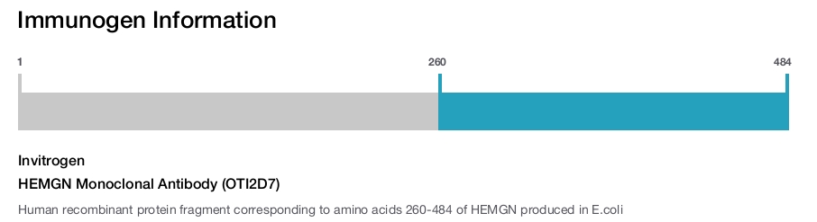 HEMGN Monoclonal Antibody (OTI2D7)