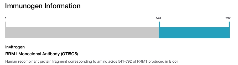RRM1 Monoclonal Antibody (OTI5G5)