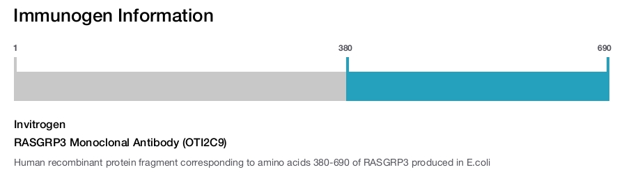 RASGRP3 Monoclonal Antibody (OTI2C9)