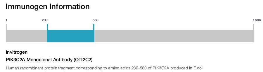 PIK3C2A Monoclonal Antibody (OTI2C2)
