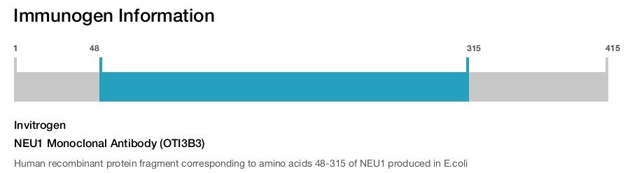 NEU1 Monoclonal Antibody (OTI3B3)