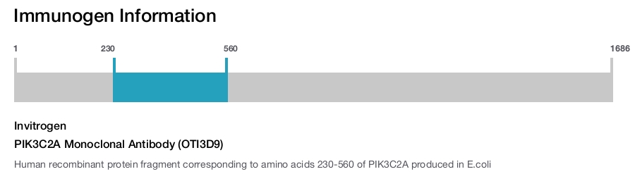 PIK3C2A Monoclonal Antibody (OTI3D9)