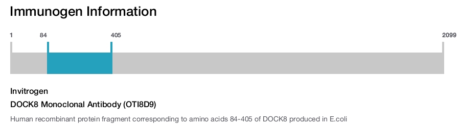 DOCK8 Monoclonal Antibody (OTI8D9)