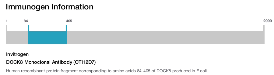 DOCK8 Monoclonal Antibody (OTI12D7)