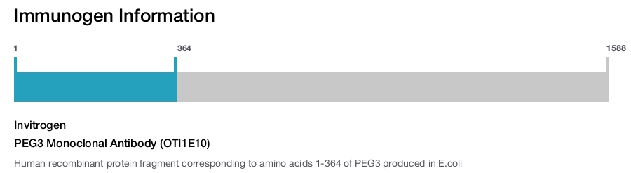 PEG3 Monoclonal Antibody (OTI1E10)