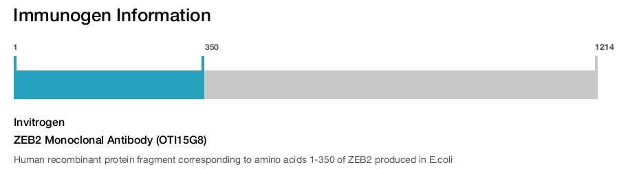 ZEB2 Monoclonal Antibody (OTI15G8)