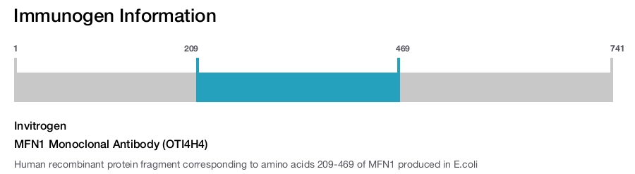 MFN1 Monoclonal Antibody (OTI4H4)