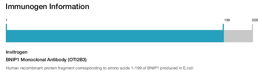 BNIP1 Monoclonal Antibody (OTI2B3)