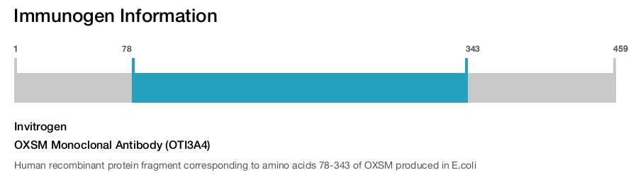 OXSM Monoclonal Antibody (OTI3A4)