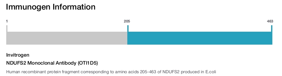 NDUFS2 Monoclonal Antibody (OTI1D5)