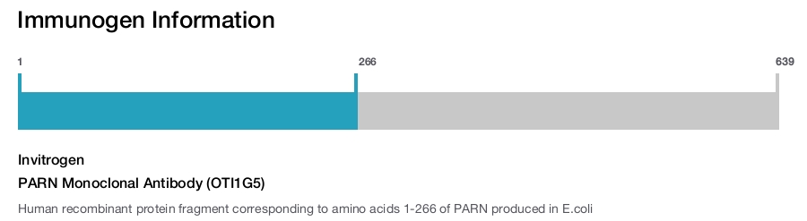 PARN Monoclonal Antibody (OTI1G5)