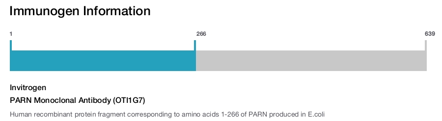 PARN Monoclonal Antibody (OTI1G7)