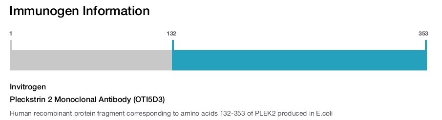Pleckstrin 2 Monoclonal Antibody (OTI5D3)