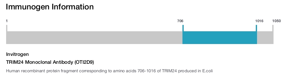 TRIM24 Monoclonal Antibody (OTI2D9)