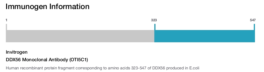 DDX56 Monoclonal Antibody (OTI5C1)