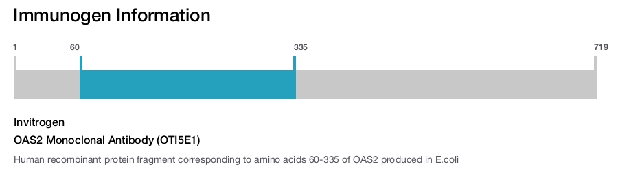 OAS2 Monoclonal Antibody (OTI5E1)