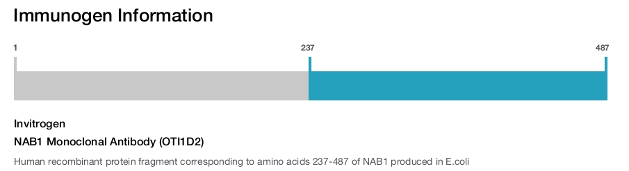 NAB1 Monoclonal Antibody (OTI1D2)