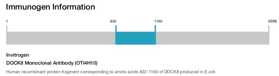 DOCK8 Monoclonal Antibody (OTI4H10)