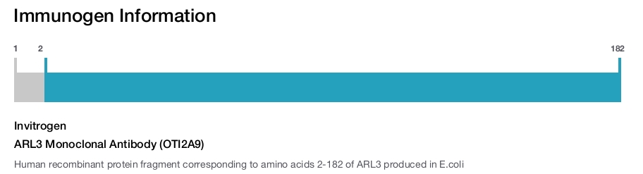 ARL3 Monoclonal Antibody (OTI2A9)