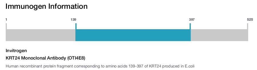 KRT24 Monoclonal Antibody (OTI4E8)