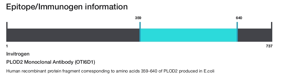 PLOD2 Monoclonal Antibody (OTI6D1)