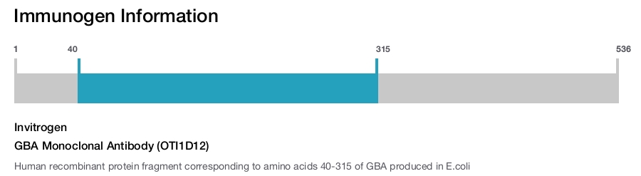 GBA Monoclonal Antibody (OTI1D12)