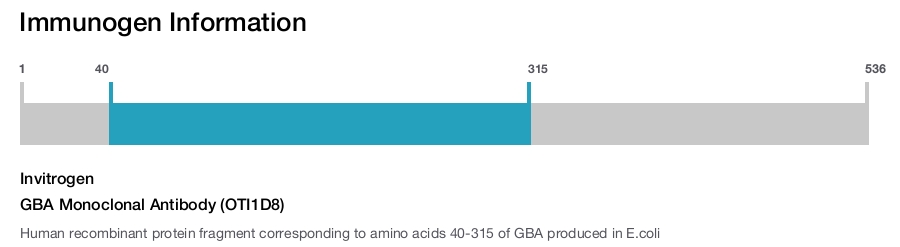 GBA Monoclonal Antibody (OTI1D8)
