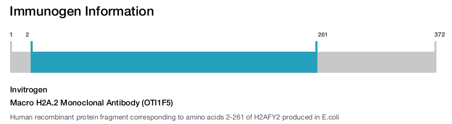 Macro H2A.2 Monoclonal Antibody (OTI1F5)