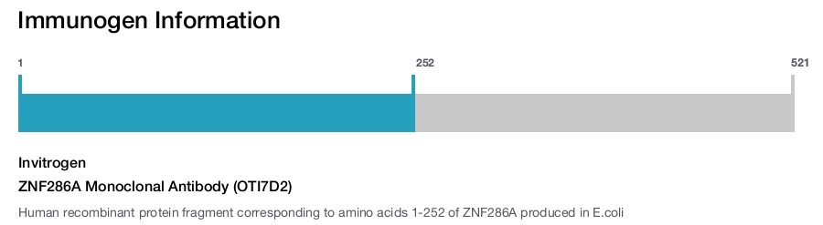 ZNF286A Monoclonal Antibody (OTI7D2)