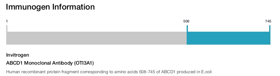 ABCD1 Monoclonal Antibody (OTI3A1)