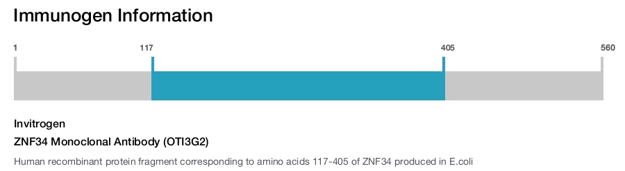ZNF34 Monoclonal Antibody (OTI3G2)