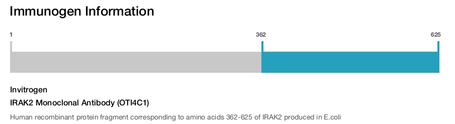 IRAK2 Monoclonal Antibody (OTI4C1)