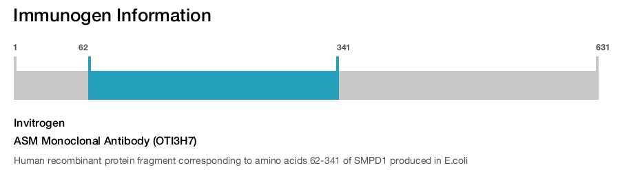 ASM Monoclonal Antibody (OTI3H7)