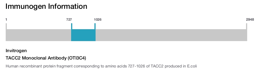 TACC2 Monoclonal Antibody (OTI3C4)