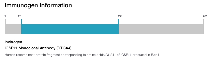 IGSF11 Monoclonal Antibody (OTI3A4)