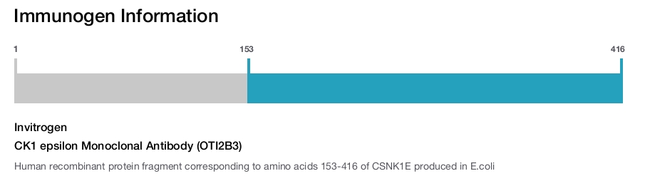 CK1 epsilon Monoclonal Antibody (OTI2B3)