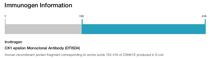 CK1 epsilon Monoclonal Antibody (OTI5D4)