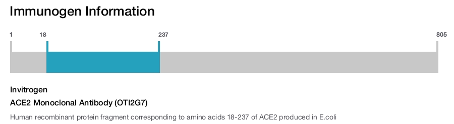 ACE2 Monoclonal Antibody (OTI2G7)