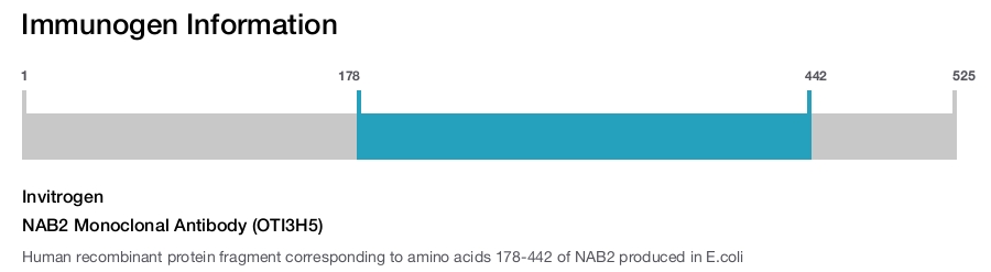 NAB2 Monoclonal Antibody (OTI3H5)