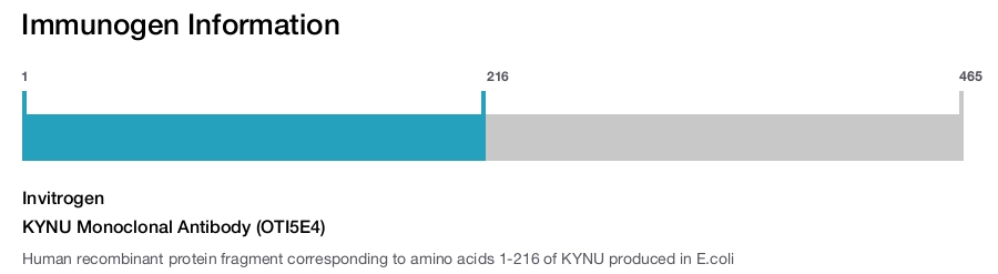 KYNU Monoclonal Antibody (OTI5E4)