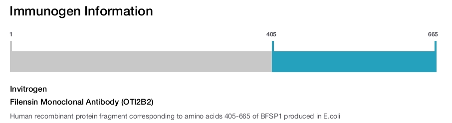 Filensin Monoclonal Antibody (OTI2B2)