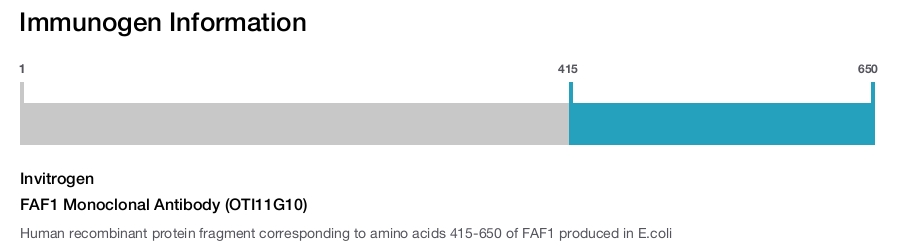 FAF1 Monoclonal Antibody (OTI11G10)