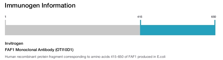 FAF1 Monoclonal Antibody (OTI10D1)