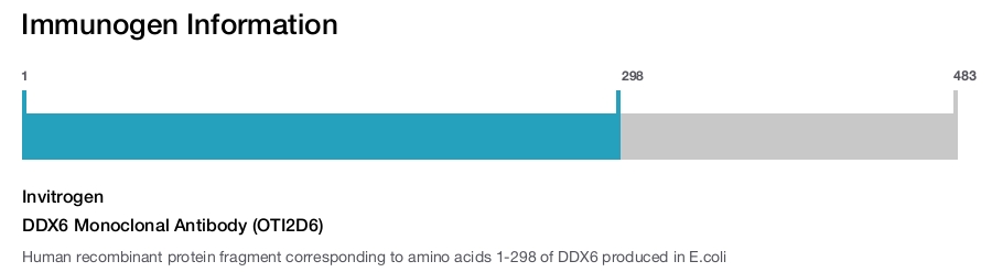 DDX6 Monoclonal Antibody (OTI2D6)
