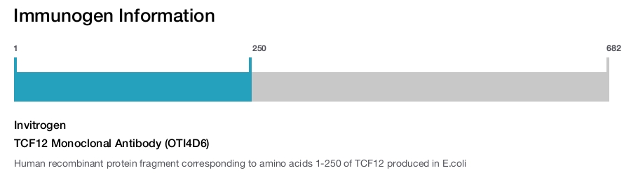 TCF12 Monoclonal Antibody (OTI4D6)