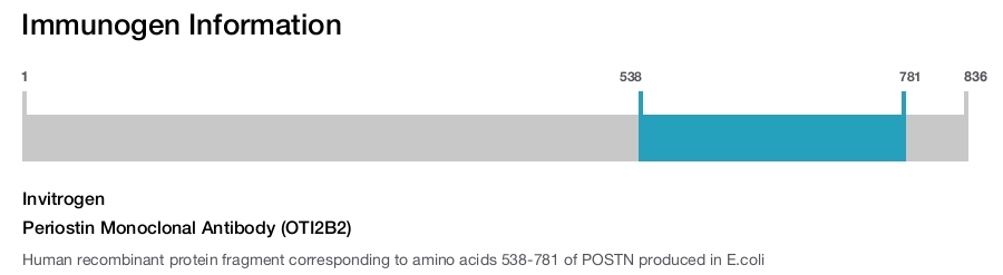 Periostin Monoclonal Antibody (OTI2B2)