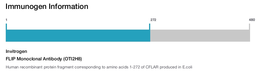 FLIP Monoclonal Antibody (OTI2H8)