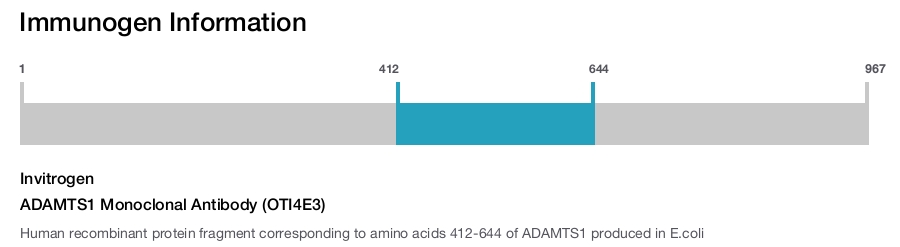 ADAMTS1 Monoclonal Antibody (OTI4E3)