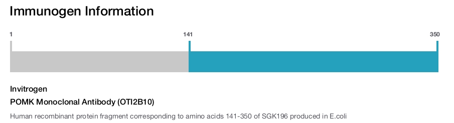POMK Monoclonal Antibody (OTI2B10)